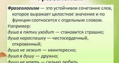 Отгадка выражения "ставить на вид": Лингвистический анализ. Смотреть фото Отгадка выражения "ставить на вид": Лингвистический анализ. Смотреть картинку Отгадка выражения "ставить на вид": Лингвистический анализ. Картинка про Отгадка выражения "ставить на вид": Лингвистический анализ. Фото Отгадка выражения "ставить на вид": Лингвистический анализ