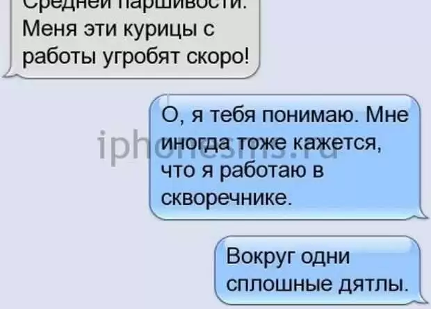 Отгадка выражения "средней паршивости". Смотреть фото Отгадка выражения "средней паршивости". Смотреть картинку Отгадка выражения "средней паршивости". Картинка про Отгадка выражения "средней паршивости". Фото Отгадка выражения "средней паршивости"